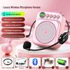 Little Bee Wireless Portable Teacher Microphone - Super Loud Bluetooth Loudspeaker