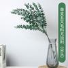 Single Simulated Eucalyptus Leaf Plant, Indoor Landscaping Forest Series Green Plants Money Leaves Green Leaves Artificial Flowers