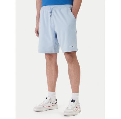 Tommy Hilfiger Logo Sport Shorts