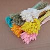 Natural Dried Statice Flower Bouquet - Everlasting Decoration for Vase & DIY Arrangements
