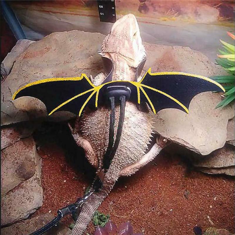 bearded dragon leash wings