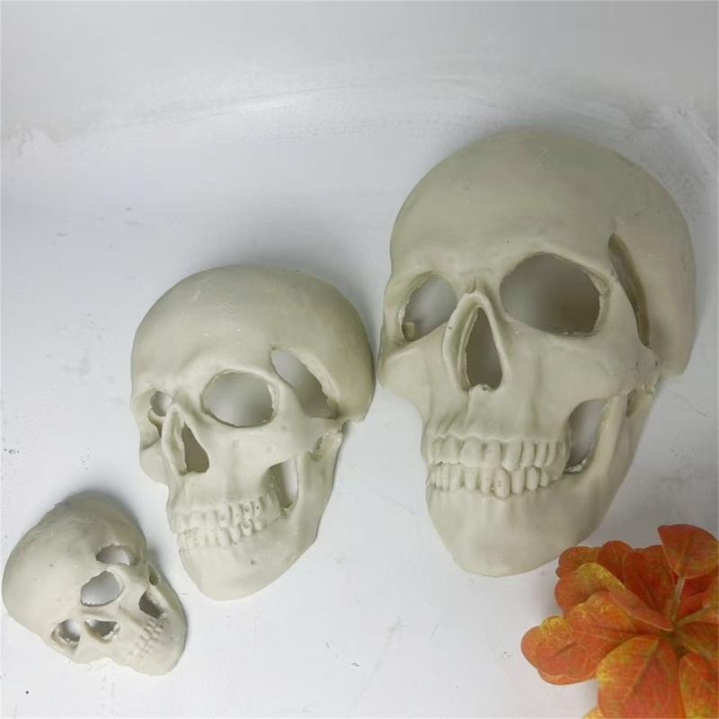 Skull Figurine Accent for Enclosure Styling, Room Display, Shelf Display, and Theme Display Use with Indoor Display