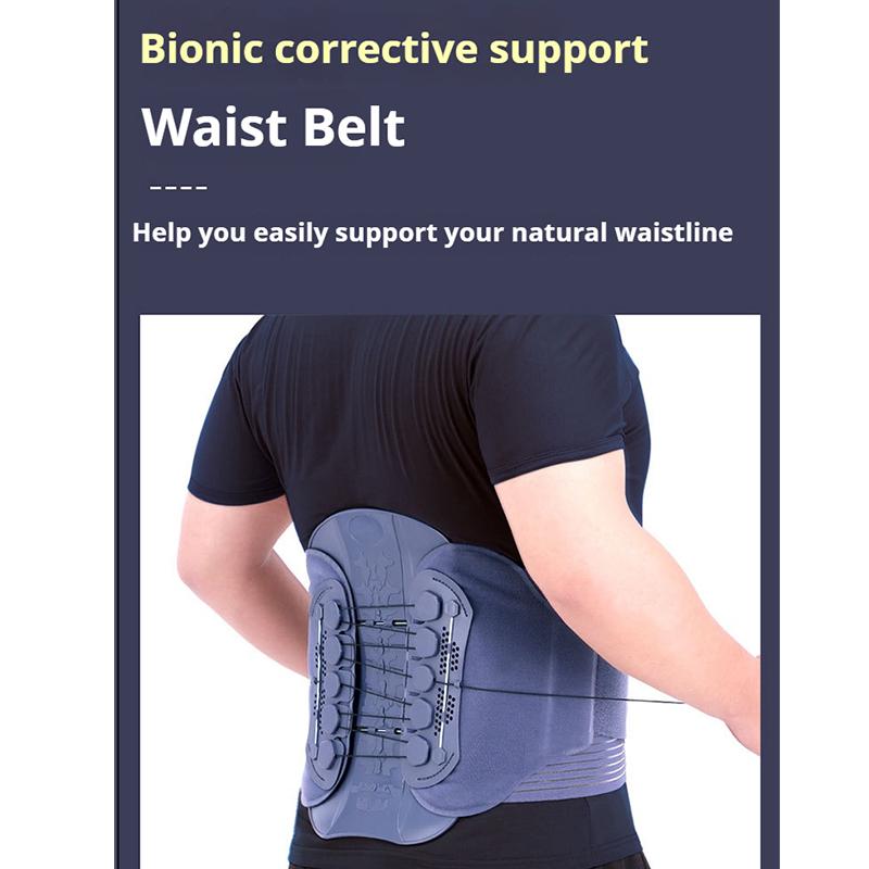 Lumbar Support Belt for Lower Back Pain Relif, Back Brace Waist Trainer Belt, Back Brace with Adjustable Drawcord Compression Pulley System