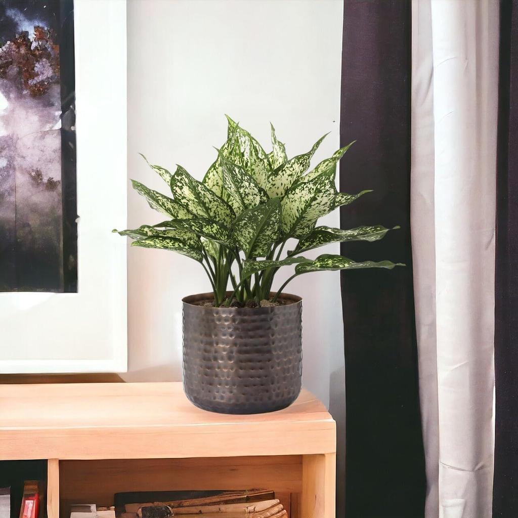 Ghiveci de plante Adam Metal de 5,5 inci, Ghivece de flori decorative moderne de interior, Jardineră decor pentru casă și grădină