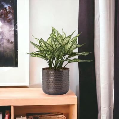 5.5 Inches Adam Metal Plant Pot, Decorative Modern Indoor Planter Flower Pots, Home Garden Decor Planter