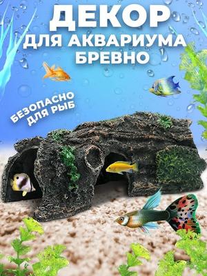 Balık & Akvaryum Hayvanları – Akvaryum dekorasyonları