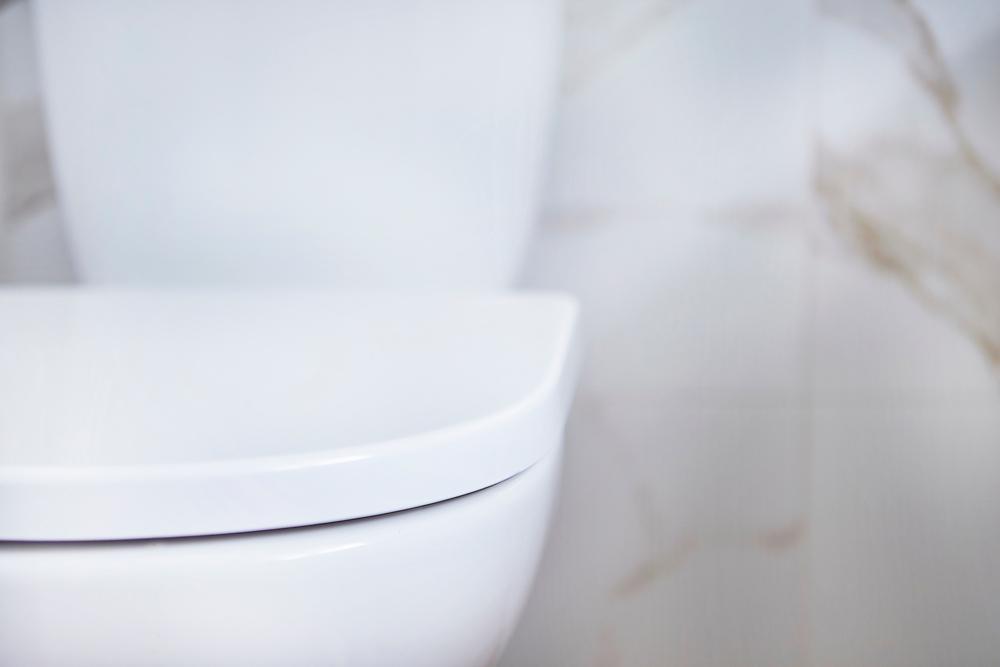 MEDELIN TOILET SEAT