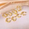 2025 Luxury Titanium Steel Earrings - No Fade, High-End Feel