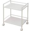 Steel Rack with 2 White Casters, Tiers, CPR-50432C(WH)