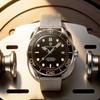 PAGANI DESIGN Men's Mechanical Watches Luxury Automatic Watch For Men Luminous Diving Steel Watch Japan 8215 Wristwatch New
