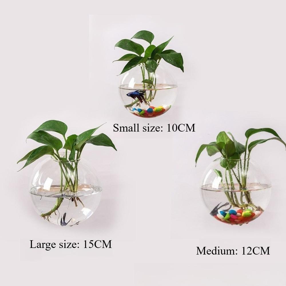

Minimalist Glass Wall Mounted Round Shape Vase Hydroponic Plant Glass Bottle Creative Green Plant Decoration for Living Room