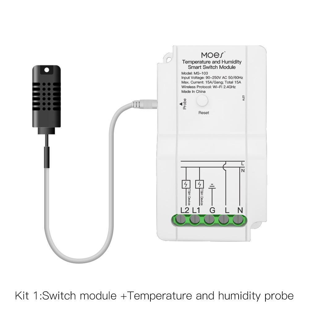 Graffiti WiFi Dual-Channel Temp & Humidity Switch with Timer & Alexa Support