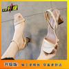 Internet Celebrity Sandals Female Summer 2025 New Student Korean Version Square Head High Heels Sexy Fairy Wind Outside Thick Heel Ins