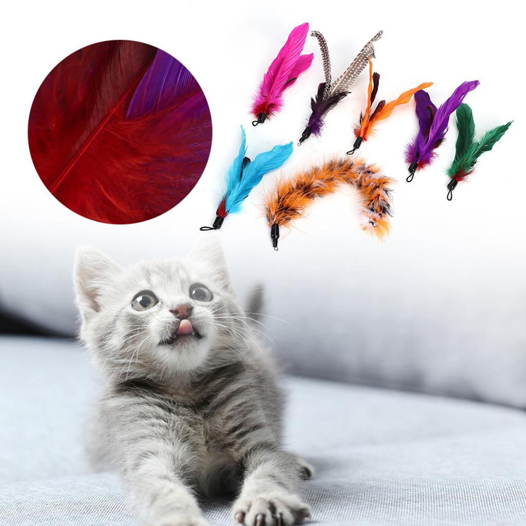 7 pcs Pet Cat Teaser Dangler Toy Rod Stick Feather Replacement Head Cats Supplies
