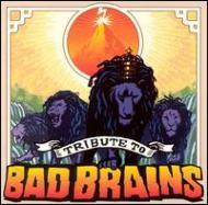 CD VARIOUS - Tribute To Bad Brains TOCT24488 VJ 2000 Japan ObiRock Used