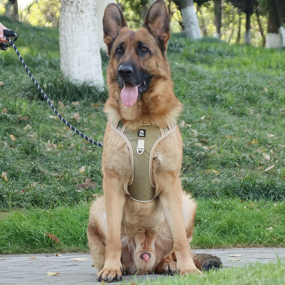 YFFSFDC Dog Adjustable Dog Harness Set with Back Attachable Name for and Extra Large Includes Walking Night Adjustable Oxford Fabric Outdoor Dog