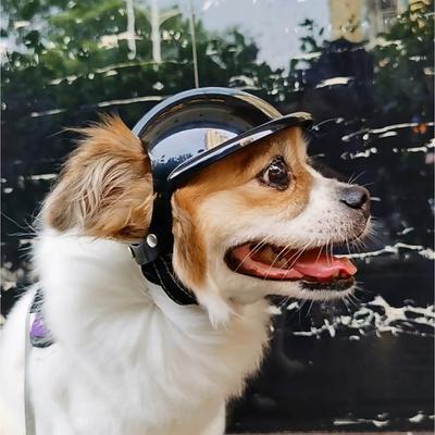 Casco per cucciolo Casco per cane con foro per le orecchie Casco regolabile per animali domestici Casco rigido per cane Cappellino per cane Casco per moto per cane Casco di sicurezza
