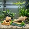 Conch Shape Fish Hideaway Cave Resin Fish Tank Ornaments Shrimp Hiding House  Small Fish Tank