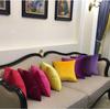 Style Contemporary Simple Solid Color Velvet Pillowcase Home Decorative Cover Cushion