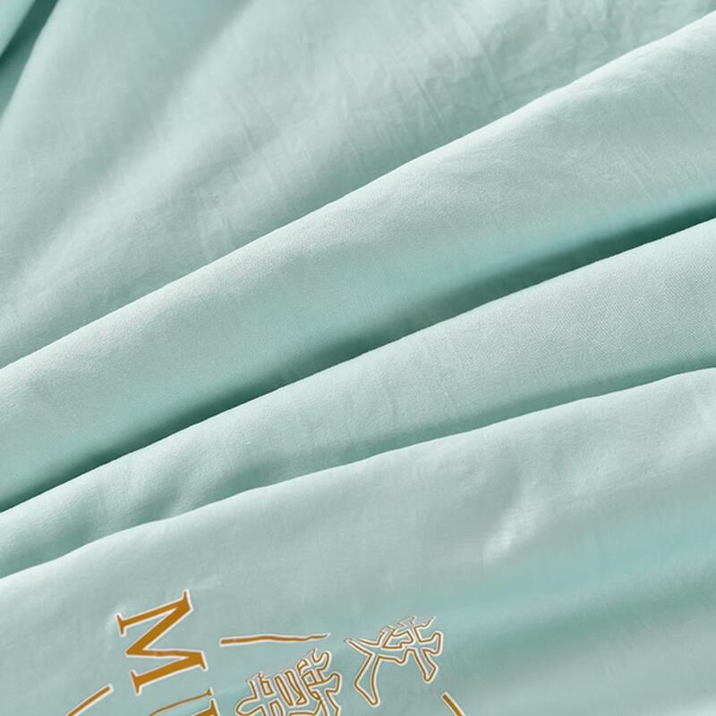 Qixiai Skin-Friendly Mugwort Summer Quilt