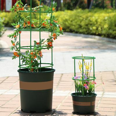 Tomato Plant Support Cages Garden Trellis Installation Stable Structure Simple Cucumber Vegetables Flowers Support