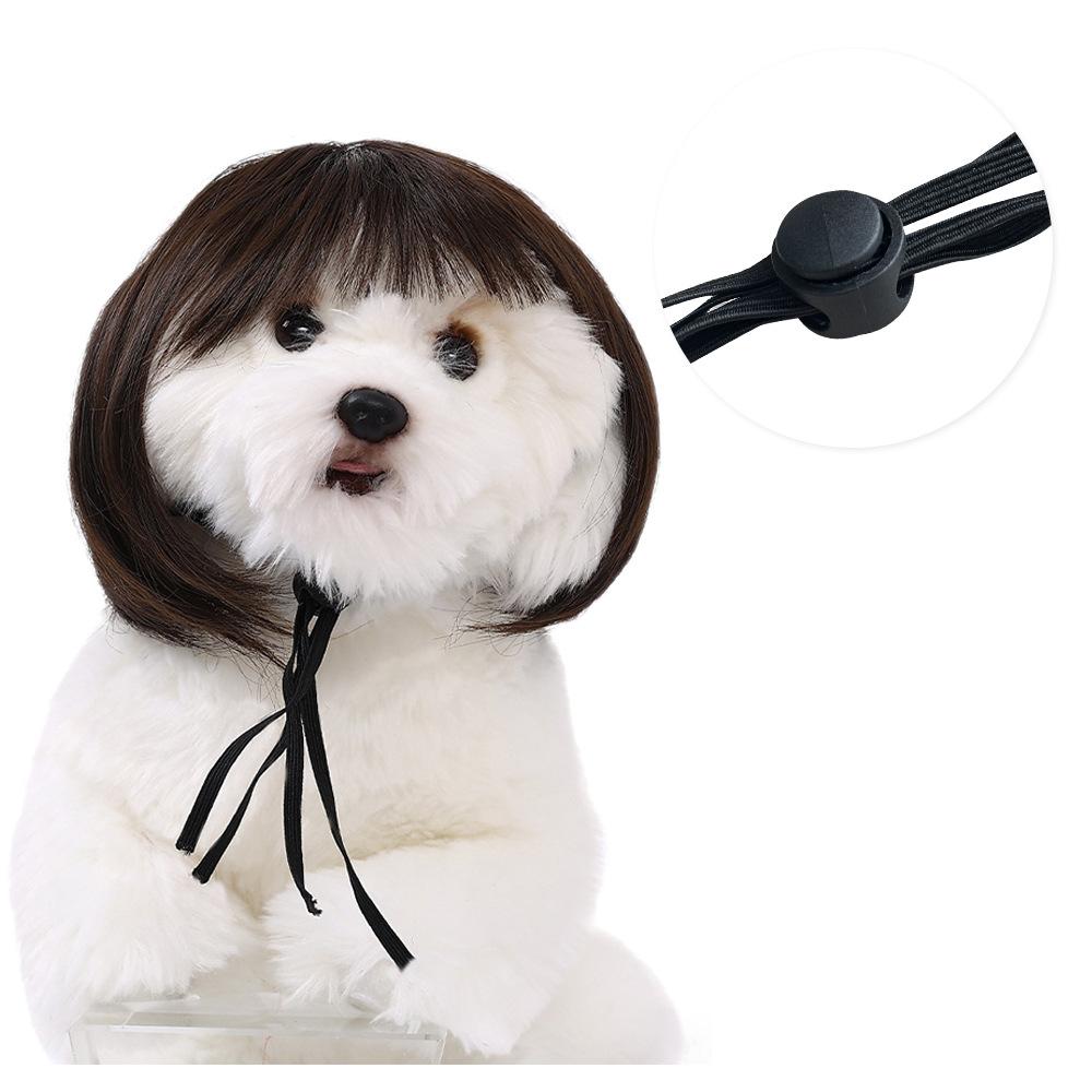 Pet Quality Premium Wig For Dogs And Cats In Trendy Bob Cut For Seasonal Celebrations