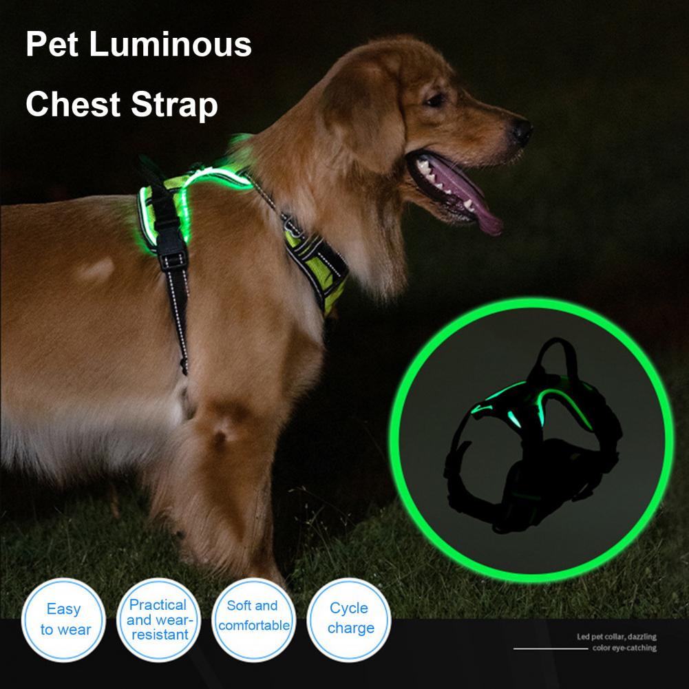 1 set ham luminos pentru animale de companie, reîncărcabil cu LED-uri, ham pentru câine, curea reglabilă pentru piept pentru plimbări nocturne