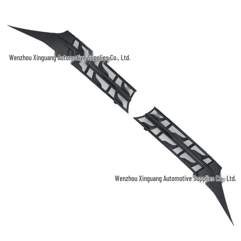 Denza D9 Windshield Insect Net: Black Carbon Fiber Car Exterior Decorative Parts for 25 Models