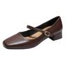 Mary Jane Shoes Women's Spring and Autumn New Temperament Thick Heel Women's Single Shoes