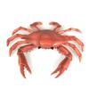 Pvc Simulation Sea Life Animals Model Handmad Collectible Octopus Action Figures Toy Crafts Ornament Crab Model Figurines
