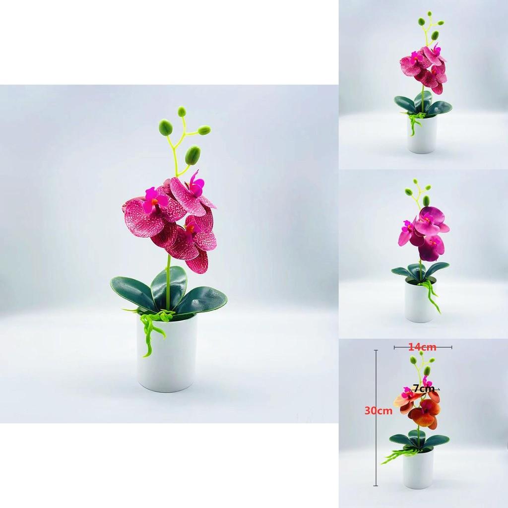 Artificial Orchid Plant With Pvc Material For Home Decor And Gift Giving