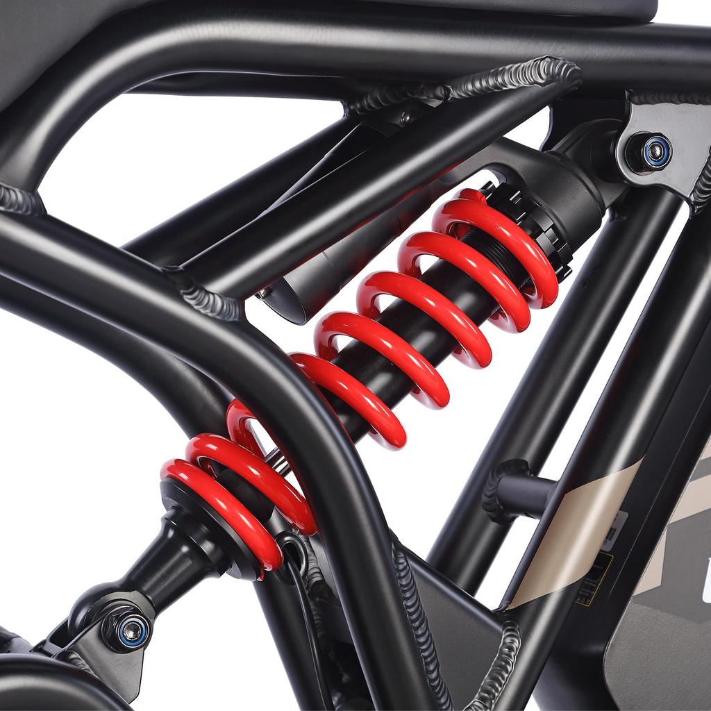 Electric Bicycle FAFREES F20 Ultra 20" 750W Motor Electric Bike Adult Top Speed 40Km/h 48V 25AH Range 140Km Load 180Kg