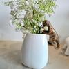 Decorated dinosaur statues, plant hangers decorated dinosaurs, cute animals, potted plants, buddies, dinosaurs, decorative hange