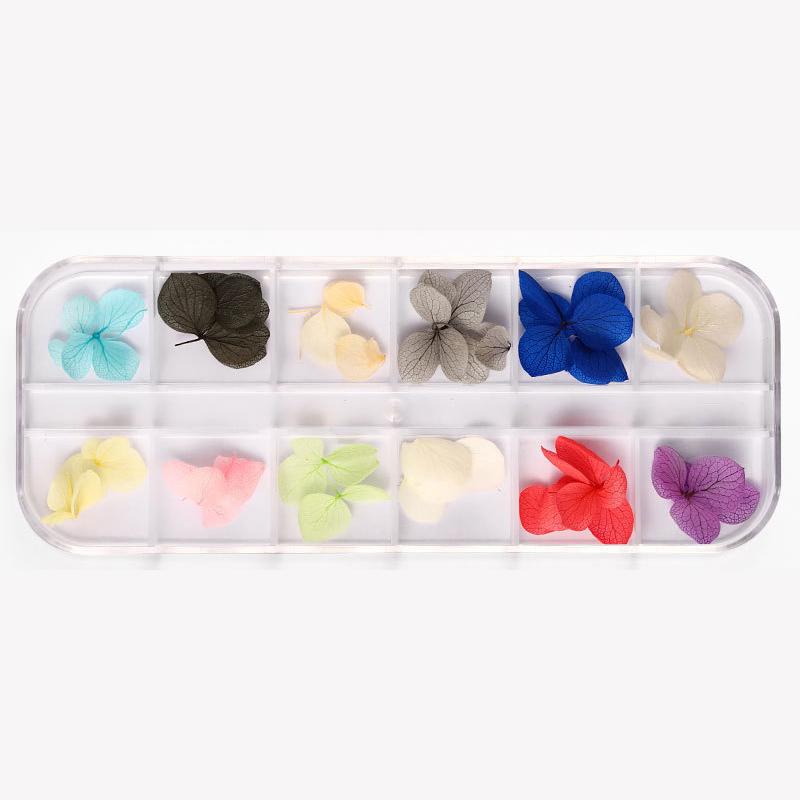 

1box Mixed Color Dried Flower for Nail Sticker Resin Supplies Fillings Natural Flower Art Handicrafts Jewelry Making Findings