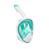 Pulian Full Face Snorkel Mask