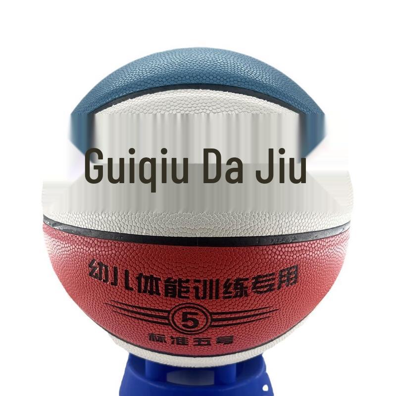 Dragon View Elementary Training Basketball