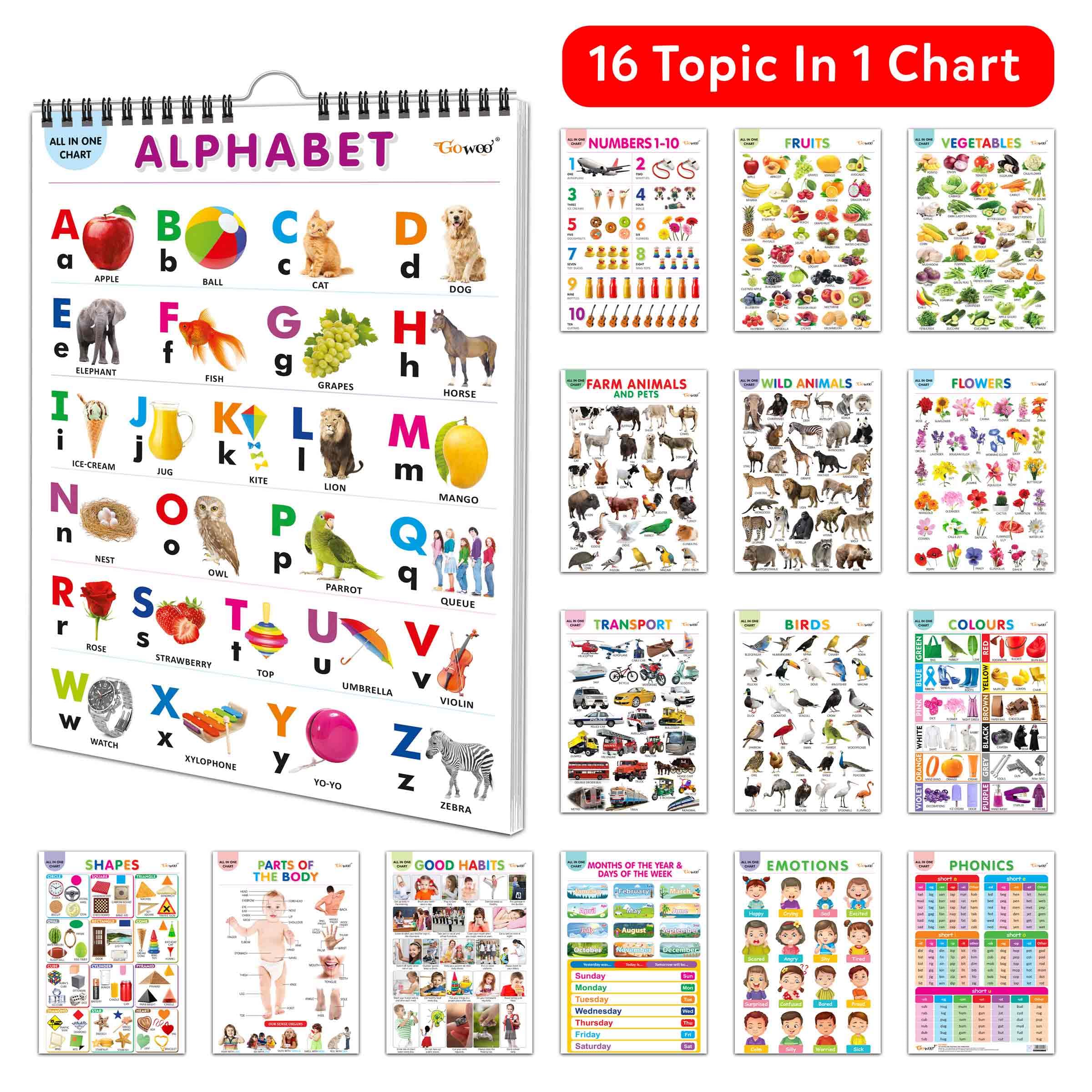 

English Chart For Kids (16 Charts ) 36 x 50 cm Children Spiral Wall Picture Chart
