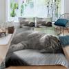 Cat Duvet Cover Set Pet Cats Pattern Twin Bedding Set Cute Kitten For Boys Polyester Mysterious Black Cat King Size Quilt Cover