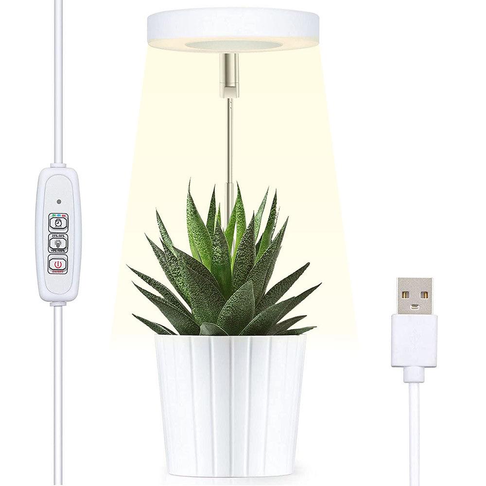 Indoor LED Angel Ring Grow Light for Plants and Succulents