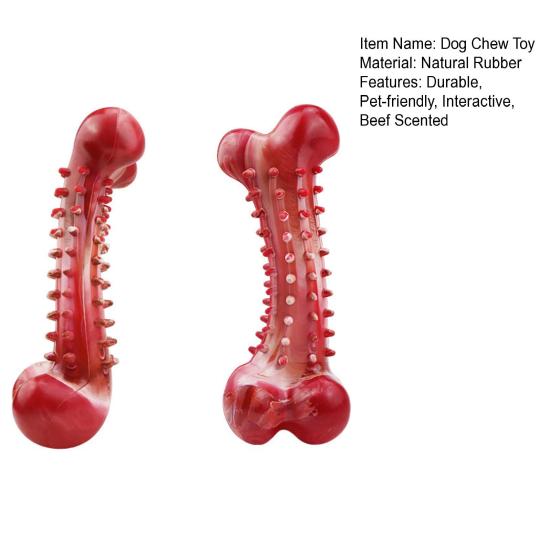 Přírodní kaučuková žvýkací hračka pro psy Kost pro dentální hygienu s hovězí příchutí Úleva při prořezávání zubů Bezpečná hračka pro psy velkých plemen