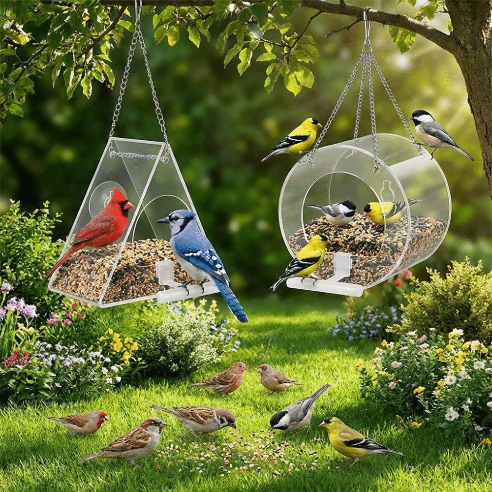 Waterproof Hanging Acrylic Bird Feeder Large Capacity Strong Suction Cup Bird Feeding Station Transparent with Hook