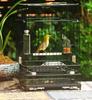 Black Square Bird Cages Parrot Outdoors Decoration Carrier Budgie Bird Cages Canary Breeding Jaula Pajaro Birds Supplies