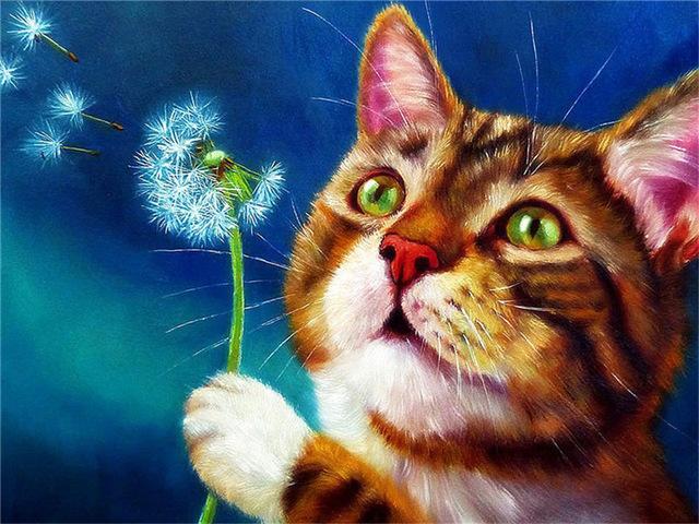 Pictură cu diamante 5d, nou sosiri, pisică drăguță, broderie cu diamante lucrată manual, mozaic de animale, cadou complet rotund/pătrat, decor acasă