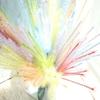 Colorful Malt Grass Artificial Flower Home Furnishing Decorating