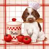 Pintura de Diamante 5D DIY com Broca Cheia Quadrada Kit Cão Chef Decoração de Casa Arte 35x35cm