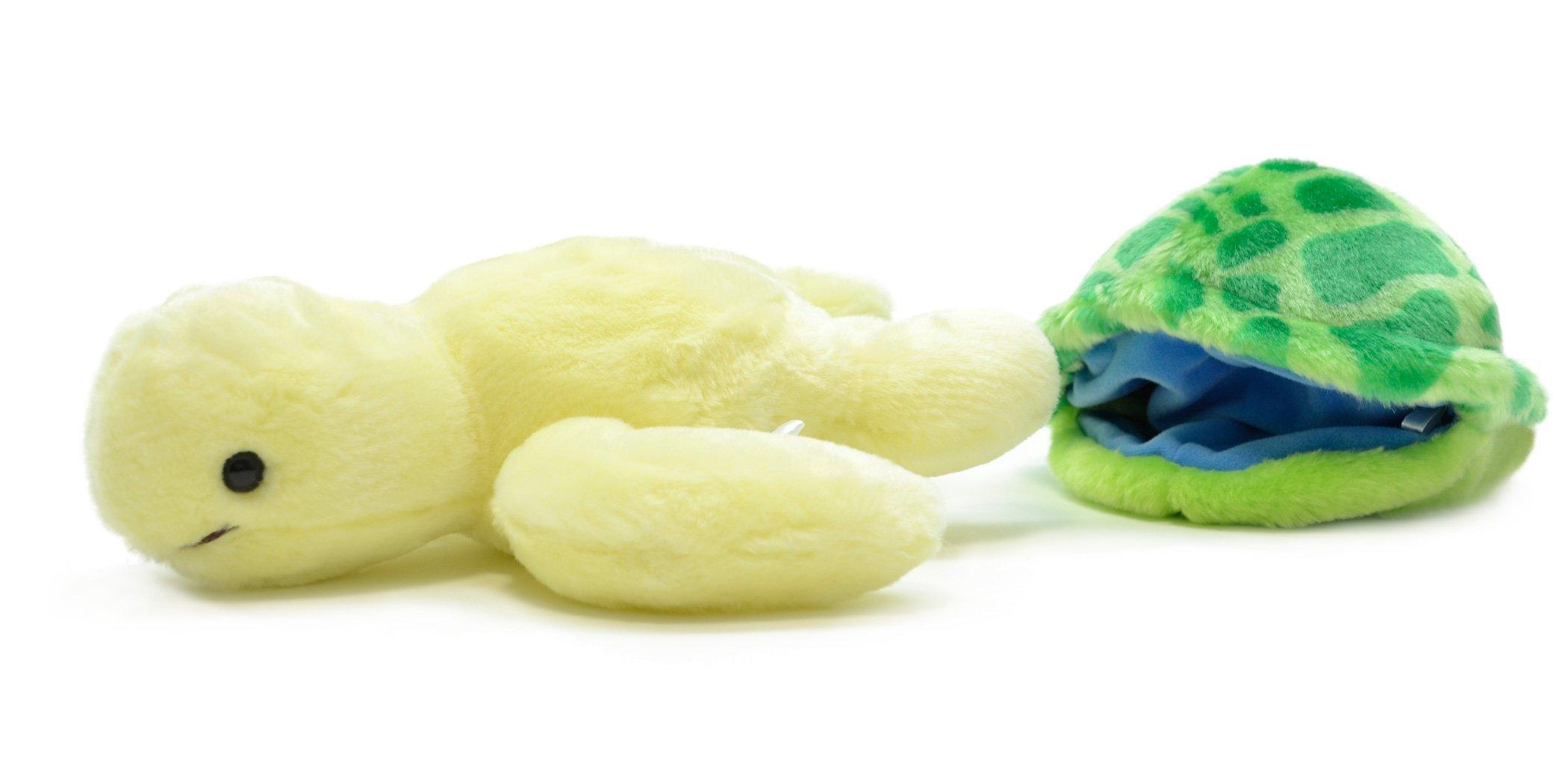

AQUA Plush Marine Turtle Nobuyuki-kun Green 00150019