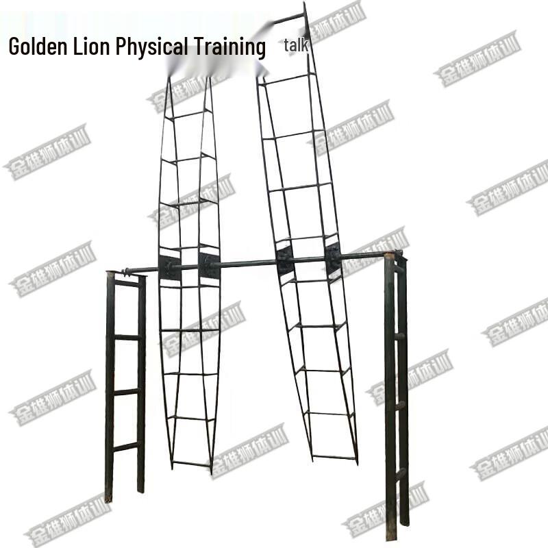 Golden Lion Fitness Training Equipment