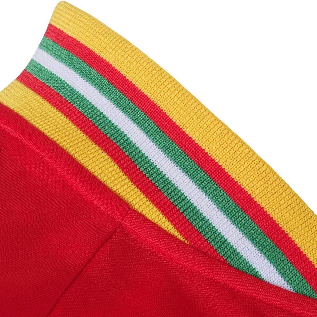 Wales Cymru Herren Retro Bomberjacke