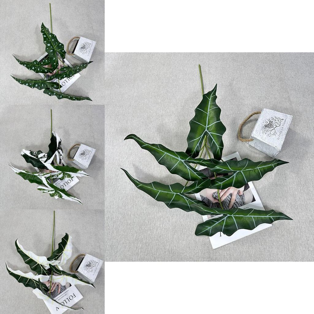 Alocasia Odora Plastik Grünpflanze mit lebhaften Blattfarben für Hochzeitsveranstaltungen und Heimgebrauch