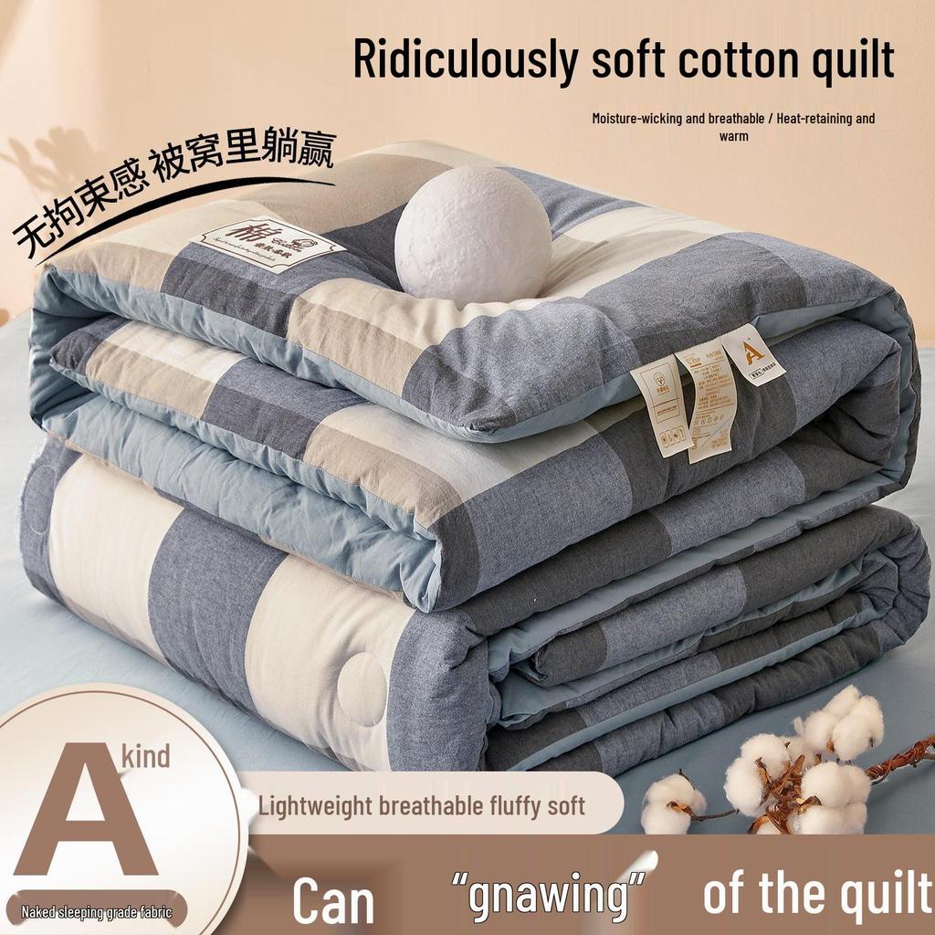 2025 All-Season Quilts: Thick Washed Cotton for Winter, Xinjiang Cotton for Summer, and Versatile Spring/Autumn Comfort